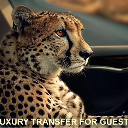 Luxury Collection 5*